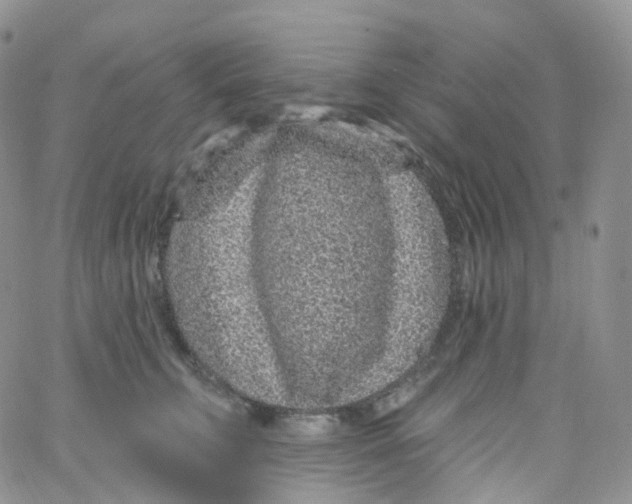 X0000065260711200603131202