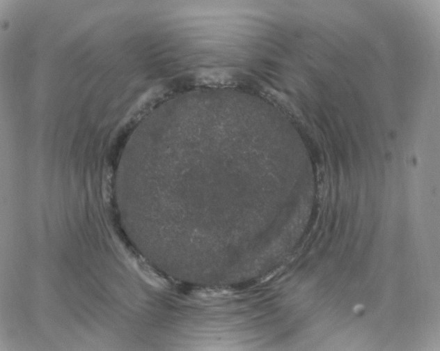 X0000065260712200603131202