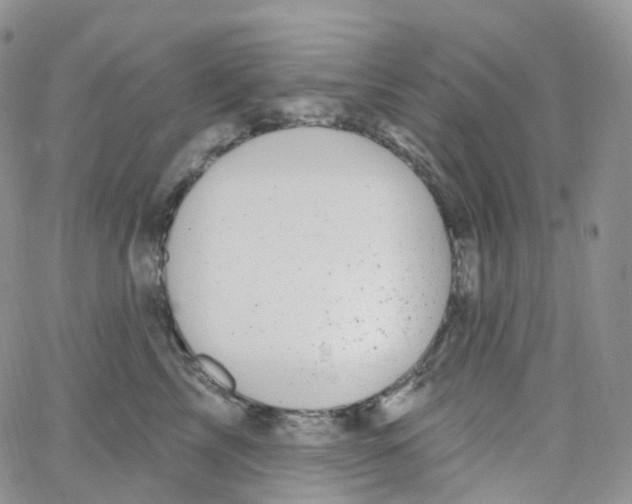 X0000065260713200603131202