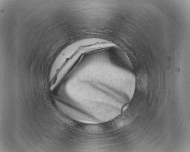 X0000065260714200603131202