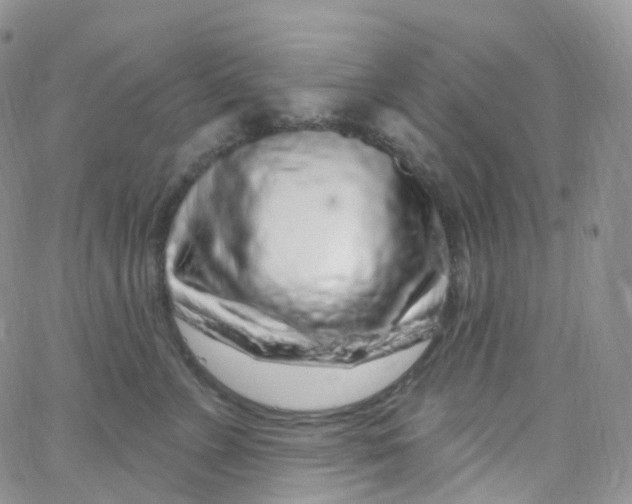 X0000065260715200603131202