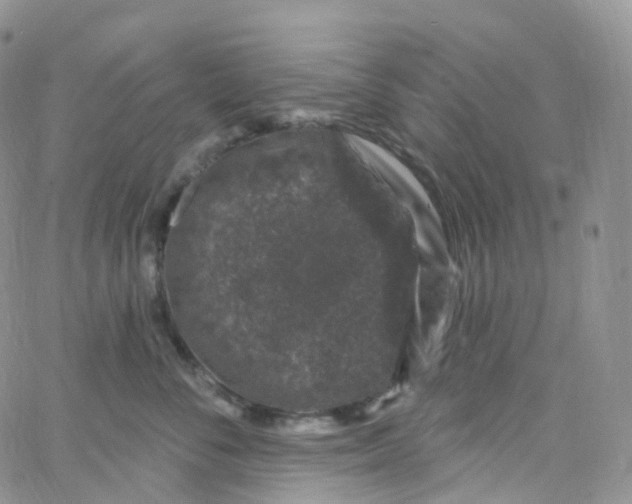 X0000065260716200603131202