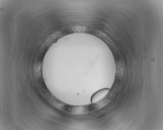 X0000065260717200603131202