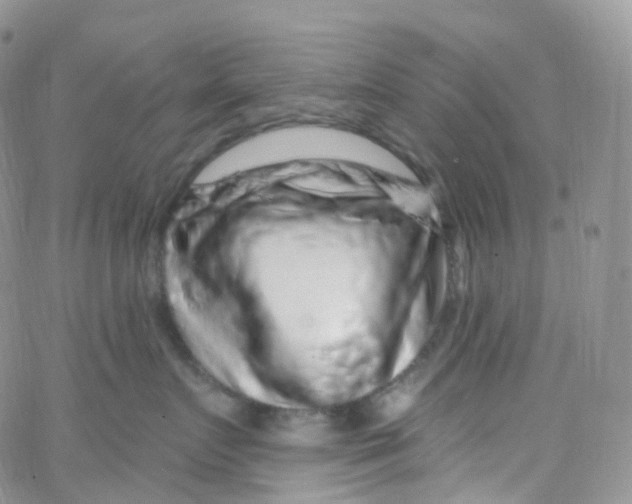 X0000065260719200603131202