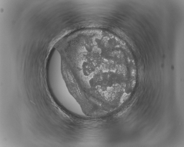 X0000065260721200603131201