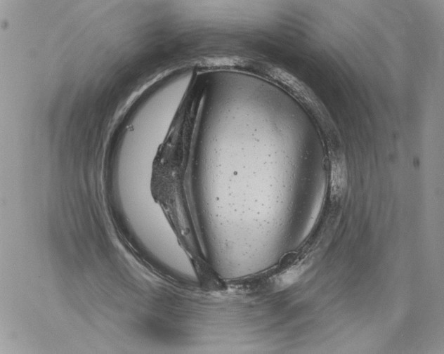 X0000065260722200603131201