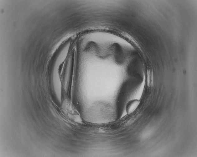 X0000065260723200603131201