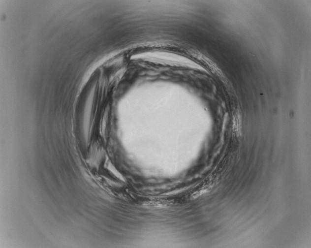 X0000065260724200603131201