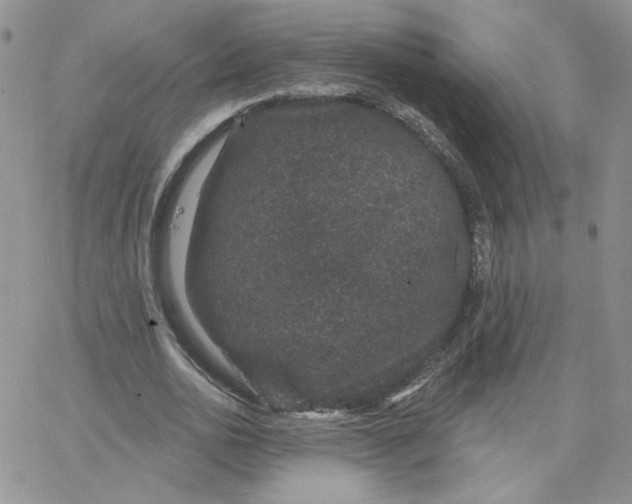 X0000065260726200603131202