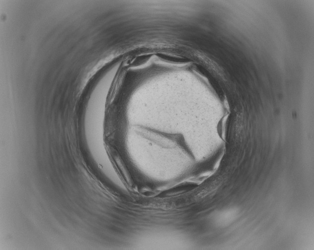 X0000065260727200603131202