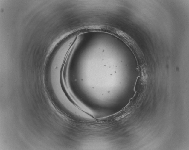 X0000065260728200603131202