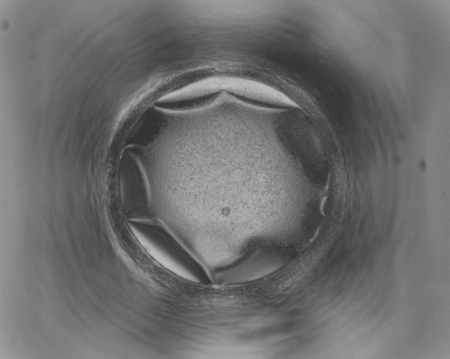 X0000065260730200603131202