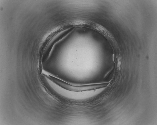 X0000065260732200603131202