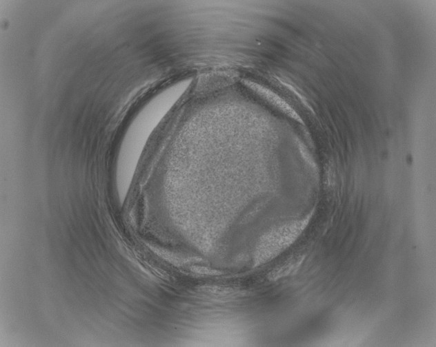 X0000065260733200603131202