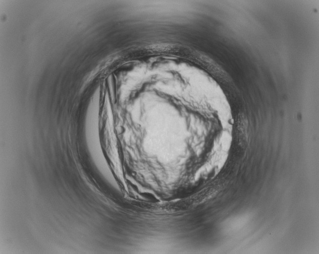 X0000065260734200603131202