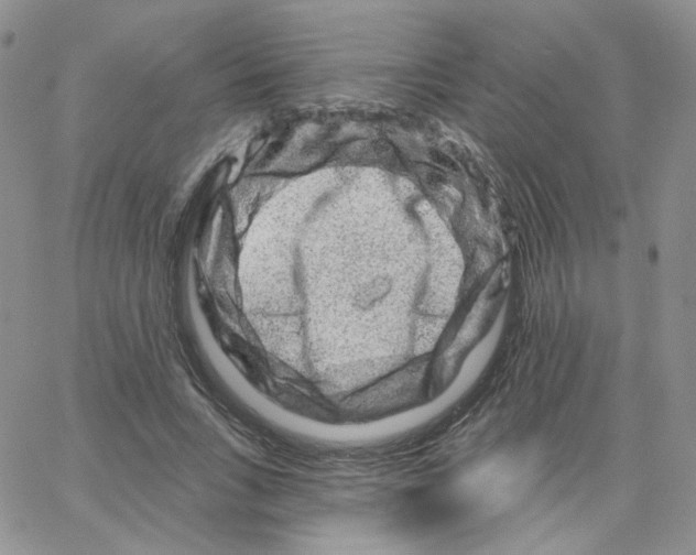 X0000065260735200603131202