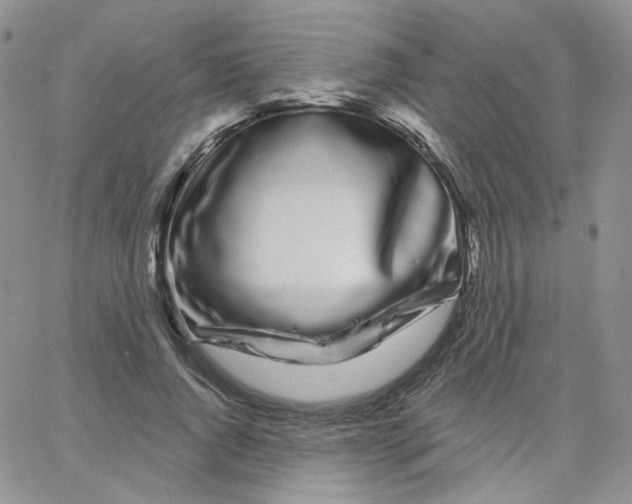 X0000065260736200603131202