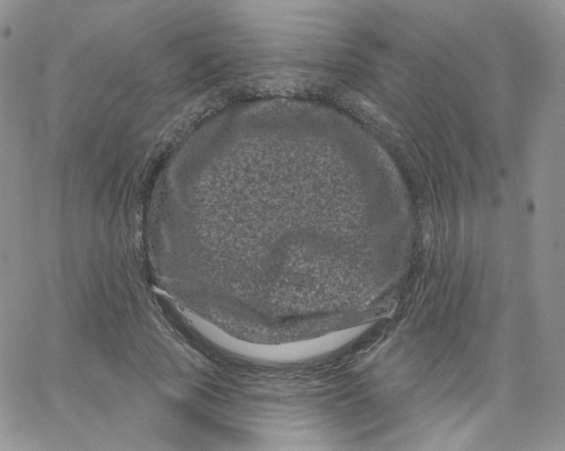 X0000065260737200603131202