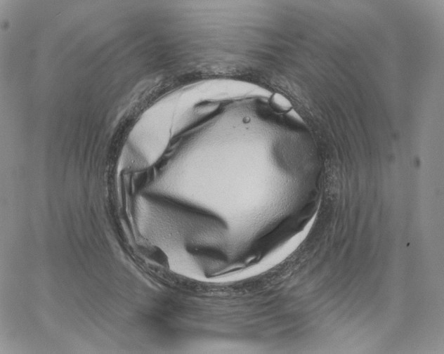 X0000065260738200603131202