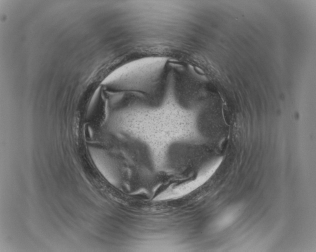 X0000065260739200603131202