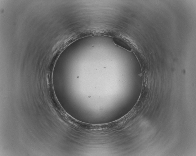 X0000065260740200603131202