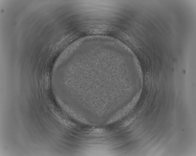 X0000065260741200603131202