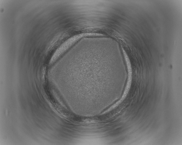 X0000065260742200603131202