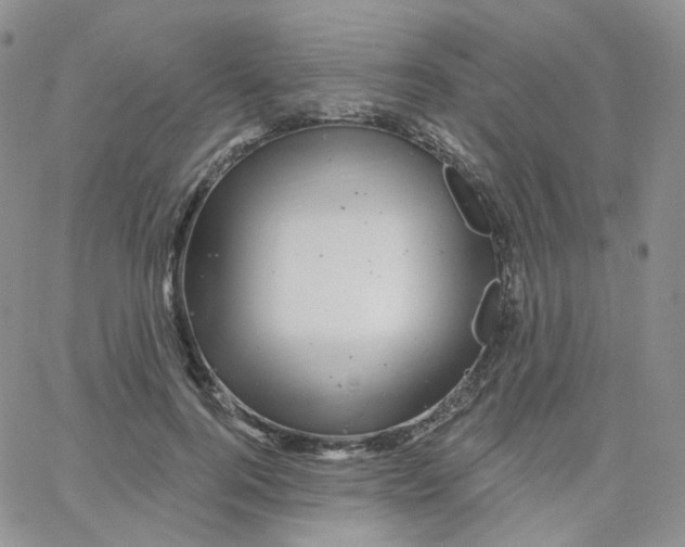 X0000065260744200603131202