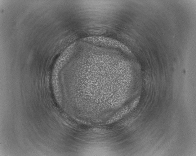 X0000065260745200603131202