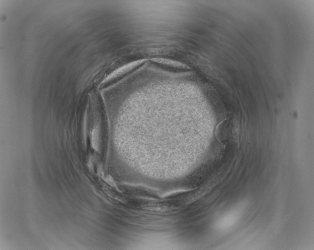 X0000065260746200603131202