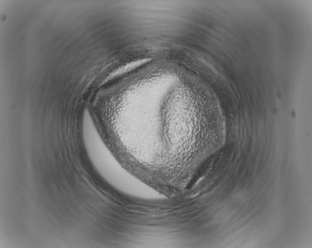 X0000065260748200603131202