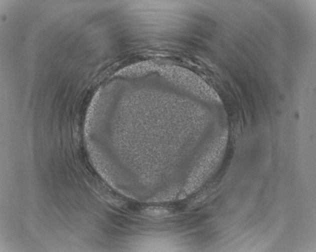 X0000065260749200603131202