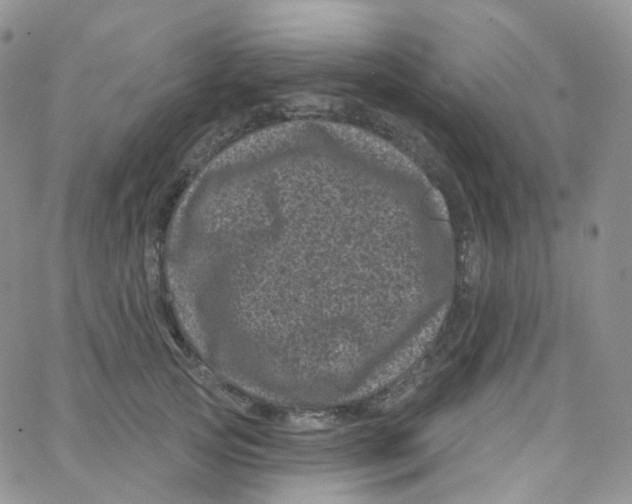 X0000065260753200603131202