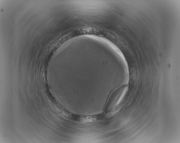 X0000065260754200603131202