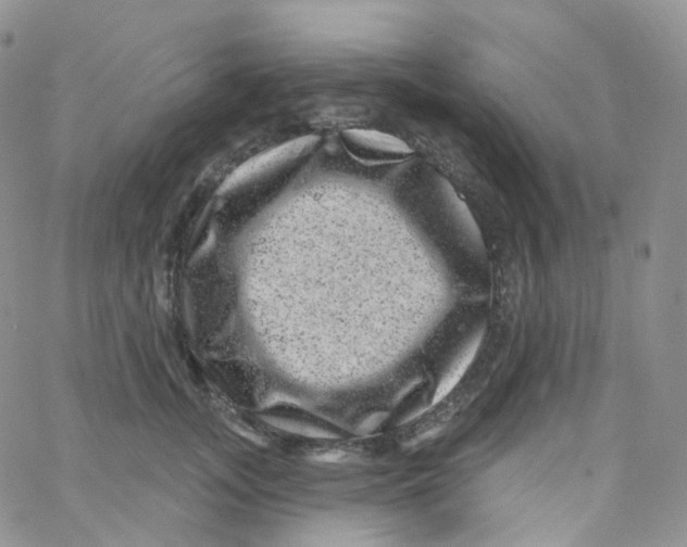 X0000065260755200603131202