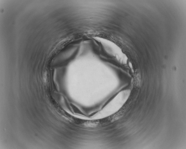 X0000065260756200603131202