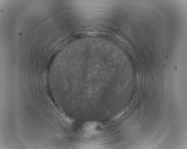 X0000065260757200603131202