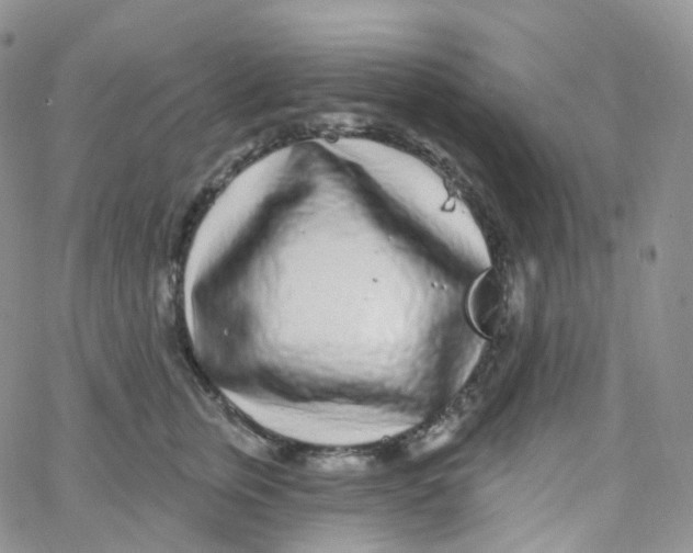 X0000065260759200603131202