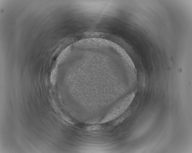 X0000065260761200603131202