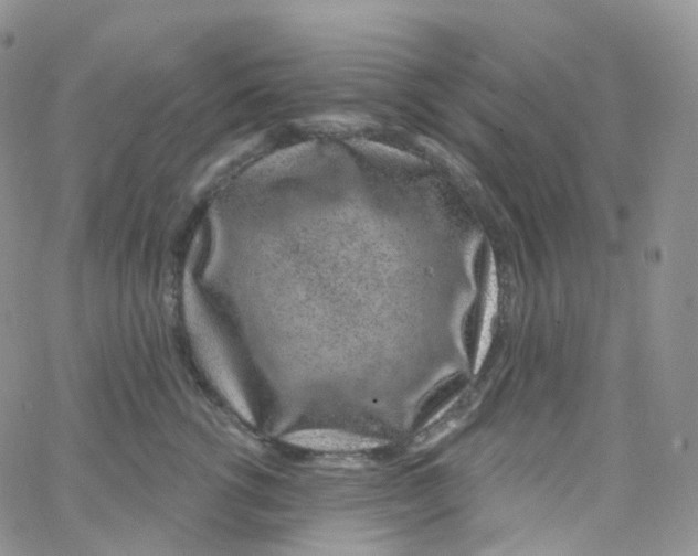 X0000065260762200603131202