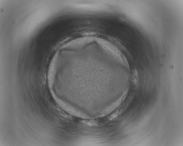 X0000065260763200603131202