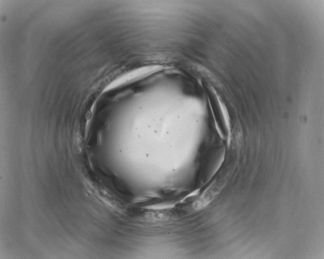 X0000065260764200603131202