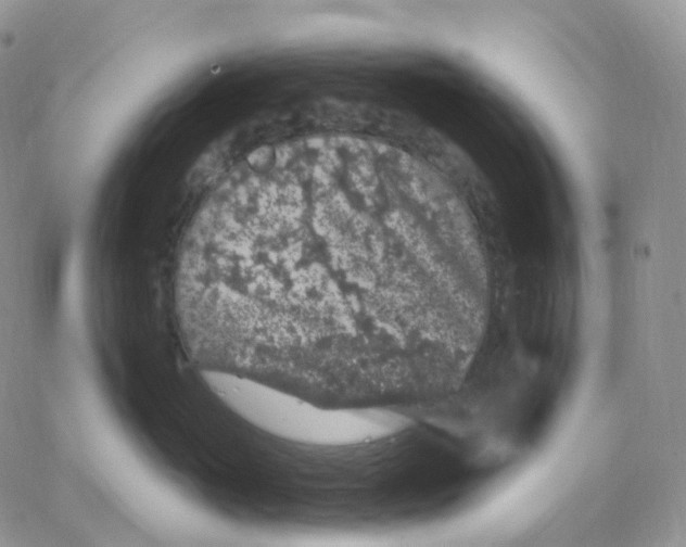 X0000065260765200603131202