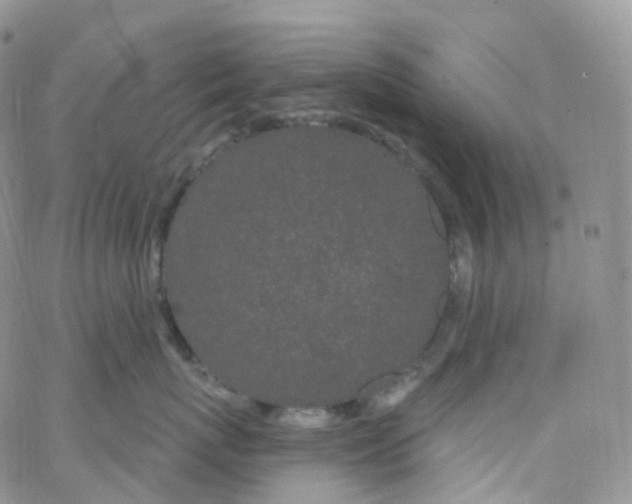 X0000065260767200603131202