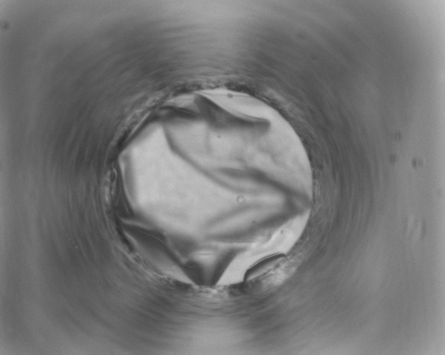 X0000065260768200603131202