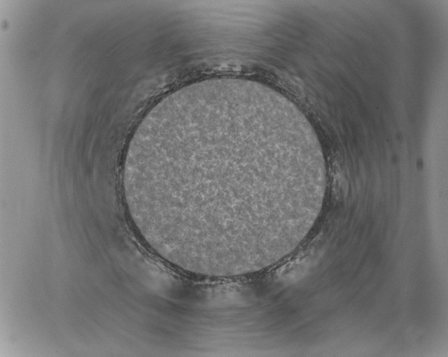 X0000065260769200603131201