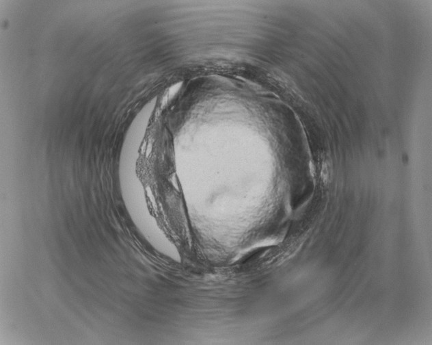 X0000065260771200603131201