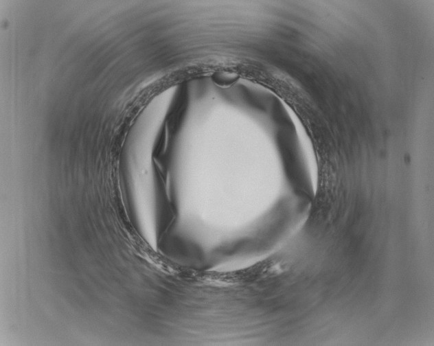 X0000065260773200603131201