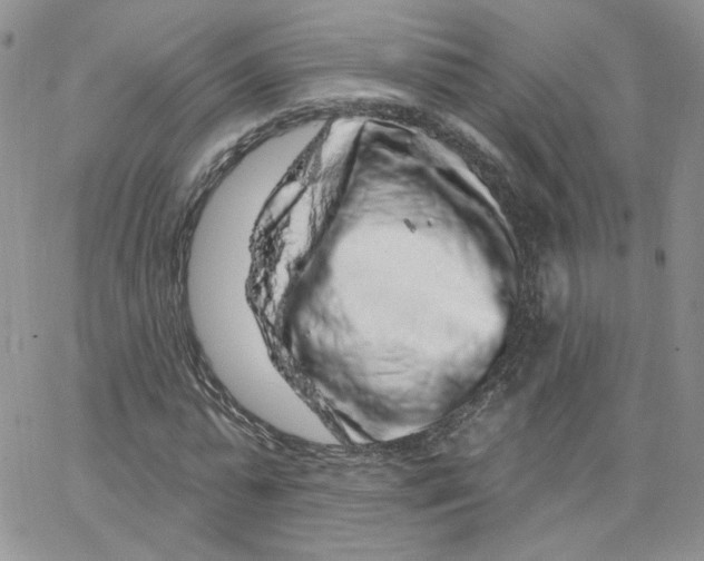 X0000065260775200603131201