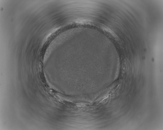 X0000065260776200603131201